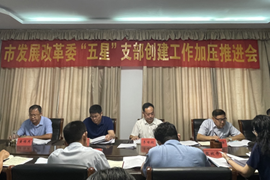 市发展改革委召开创建“五星”支部引领模范机关建设工作推进会