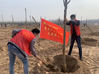 市金融工作局开展春季义务植树活动