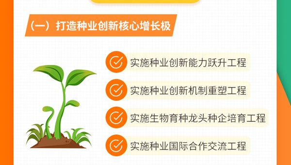 一图读懂丨河南出台“中原农谷”建设方案 打造千亿级种业和粮食产业集群