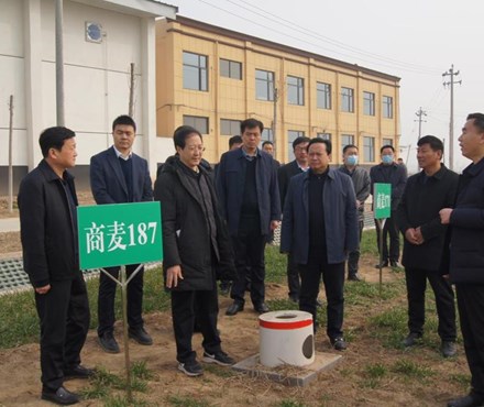 省农业农村厅副厅长谢长伟到我市调研高标准农田示范区建设工作