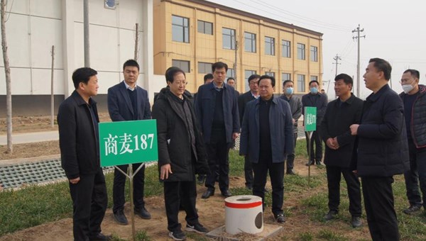 省农业农村厅副厅长谢长伟到我市调研高标准农田示范区建设工作