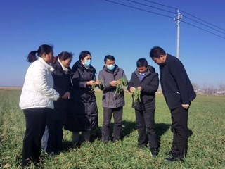 市农业农村局及早谋划春耕备耕工作