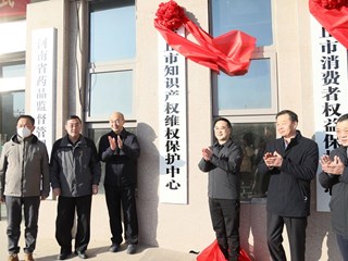 新组建事业单位集体揭牌