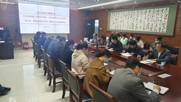 市文化广电和旅游局多措并举 以学促行 深入学习宣传贯彻党的二十大精神
