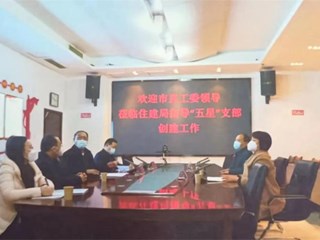 市委直属机关工委领导到365网络股份有限公司总部_beat365网址官网网站_bat365验证住建局检查督导“五星”支部创建工作