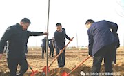 宁陵县积极开展2020年冬季 义务植树活动  