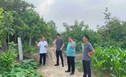 示范区分局高铁东站国土所加班加点完成2021年度耕地流出问题排查整改工作